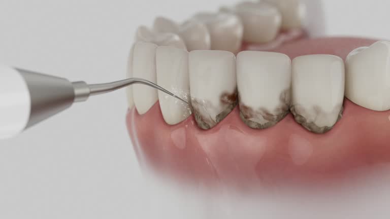 Reliable Dental contractor in Revere, MA by Dentist Open Now